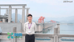 了完整的AI人才培育系统